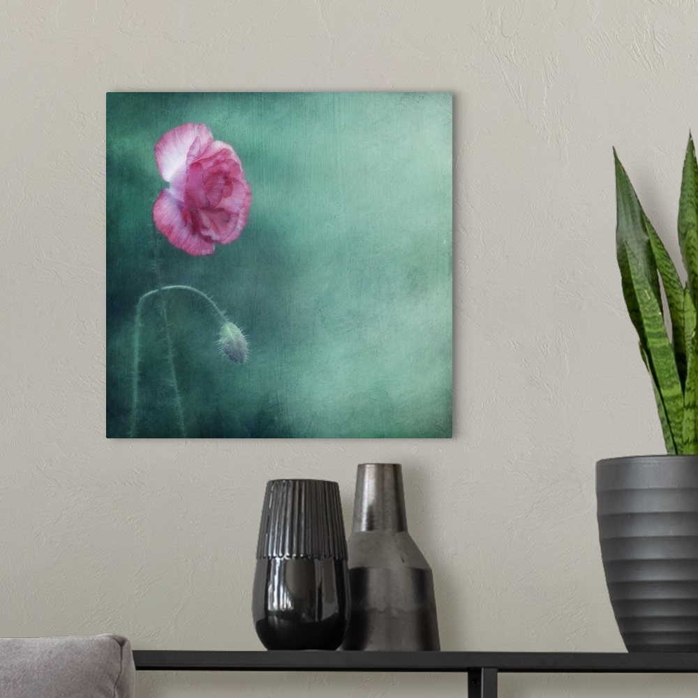 A modern room featuring An artistic photograph of a close-up of a pink flower against a dark seafoam green background.