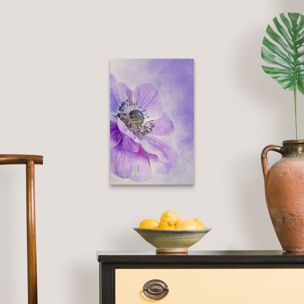 A traditional room featuring Large, vertical, close up fine art photograph of an anemone flower in bloom, on a background of s...