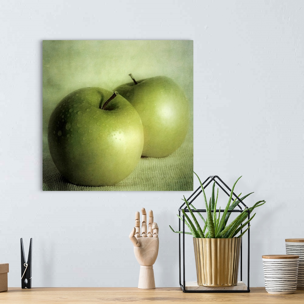 A bohemian room featuring Square, large wall art of two green apples sitting on a cloth, against a lighter green background.