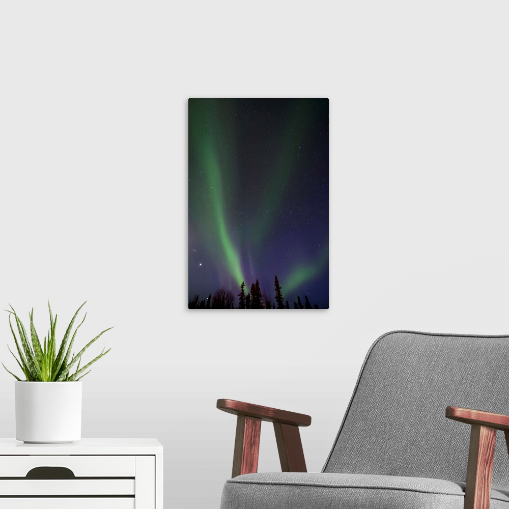 A modern room featuring Northern lights (aurora borealis) over the Midnight Dome, Dawson City, Canada