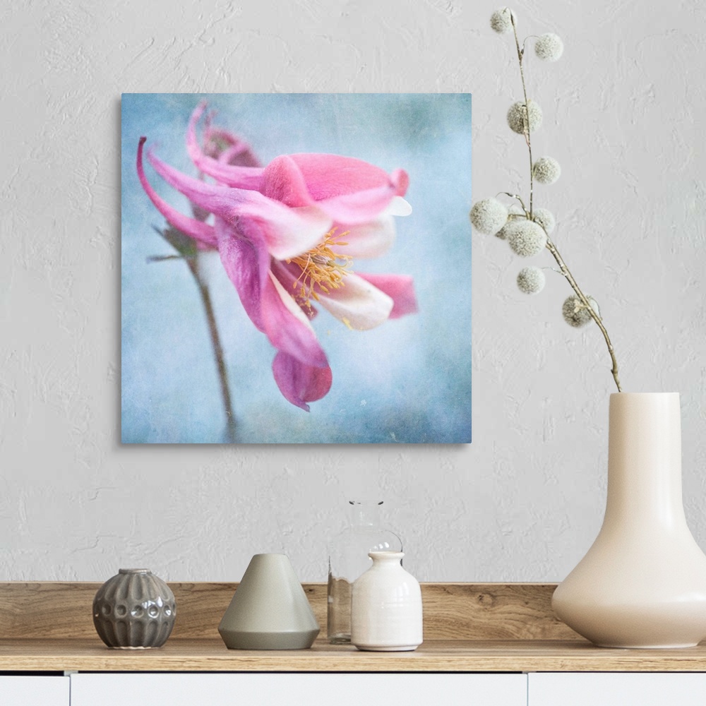 A farmhouse room featuring Pastel colored columbine flower