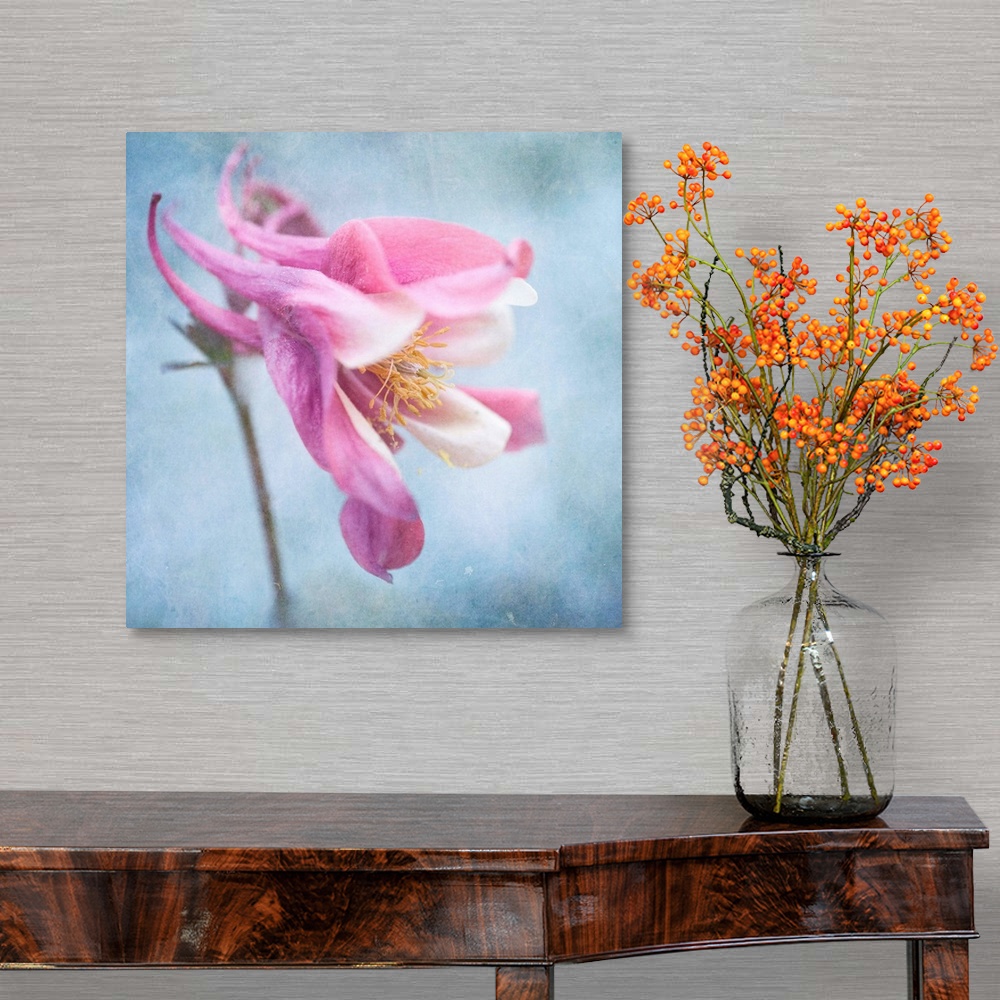 A traditional room featuring Pastel colored columbine flower