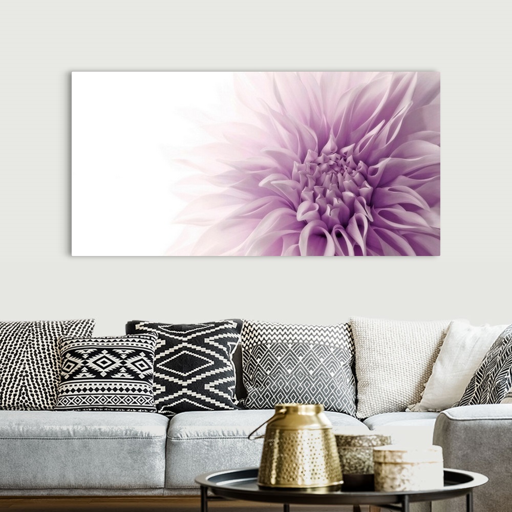 A bohemian room featuring A detail of a flower blossom that has been photographed with lighting that makes its highlights f...