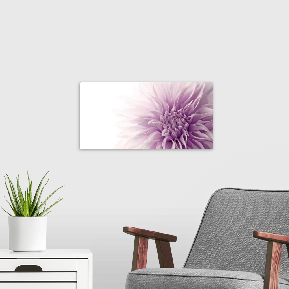 A modern room featuring A detail of a flower blossom that has been photographed with lighting that makes its highlights f...