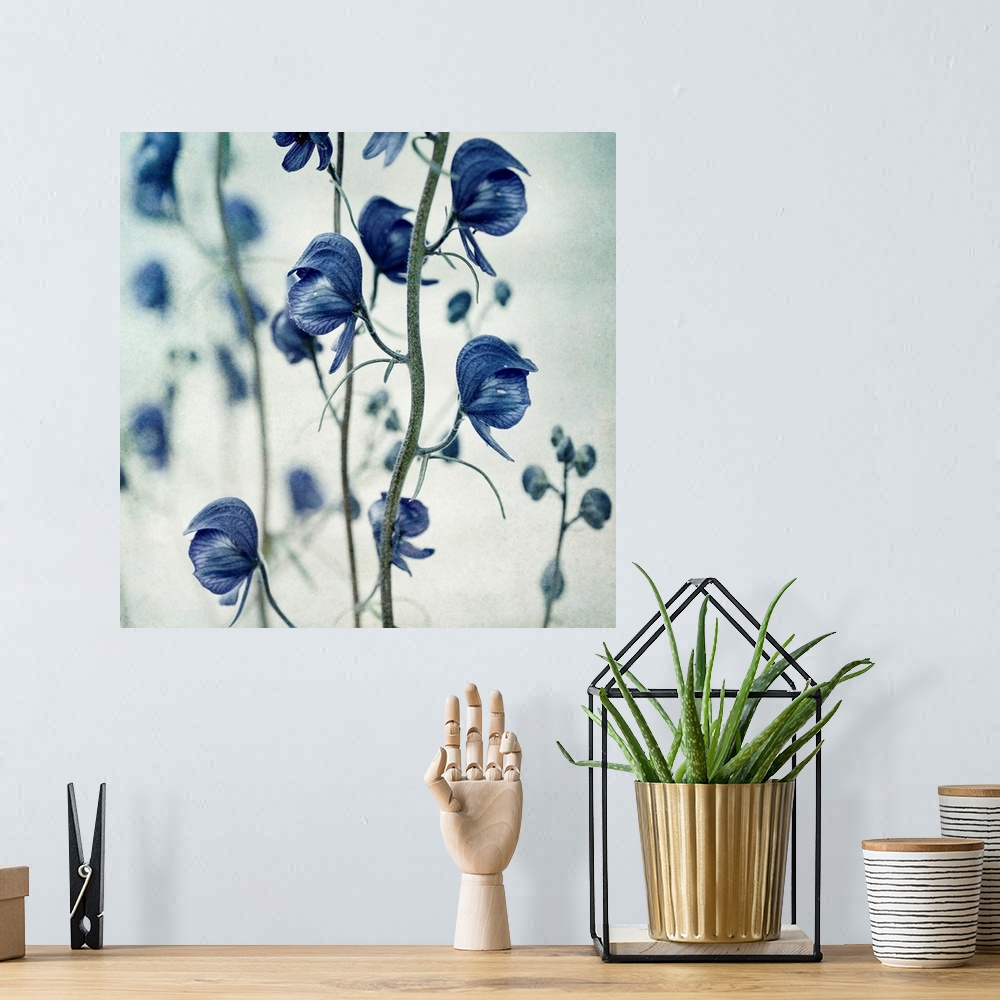 A bohemian room featuring Huge photograph emphasizes the sharp focus on a blossom hanging down.  The intense focus of the f...