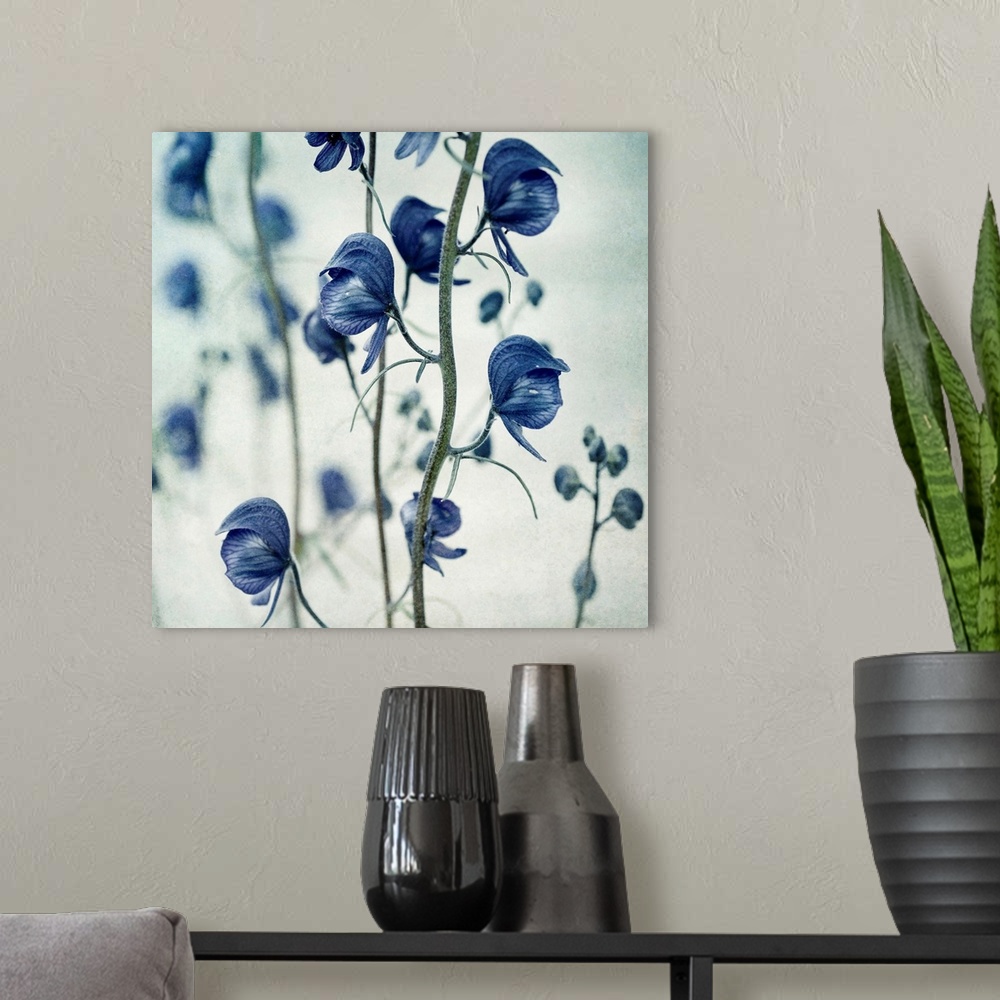 A modern room featuring Huge photograph emphasizes the sharp focus on a blossom hanging down.  The intense focus of the f...
