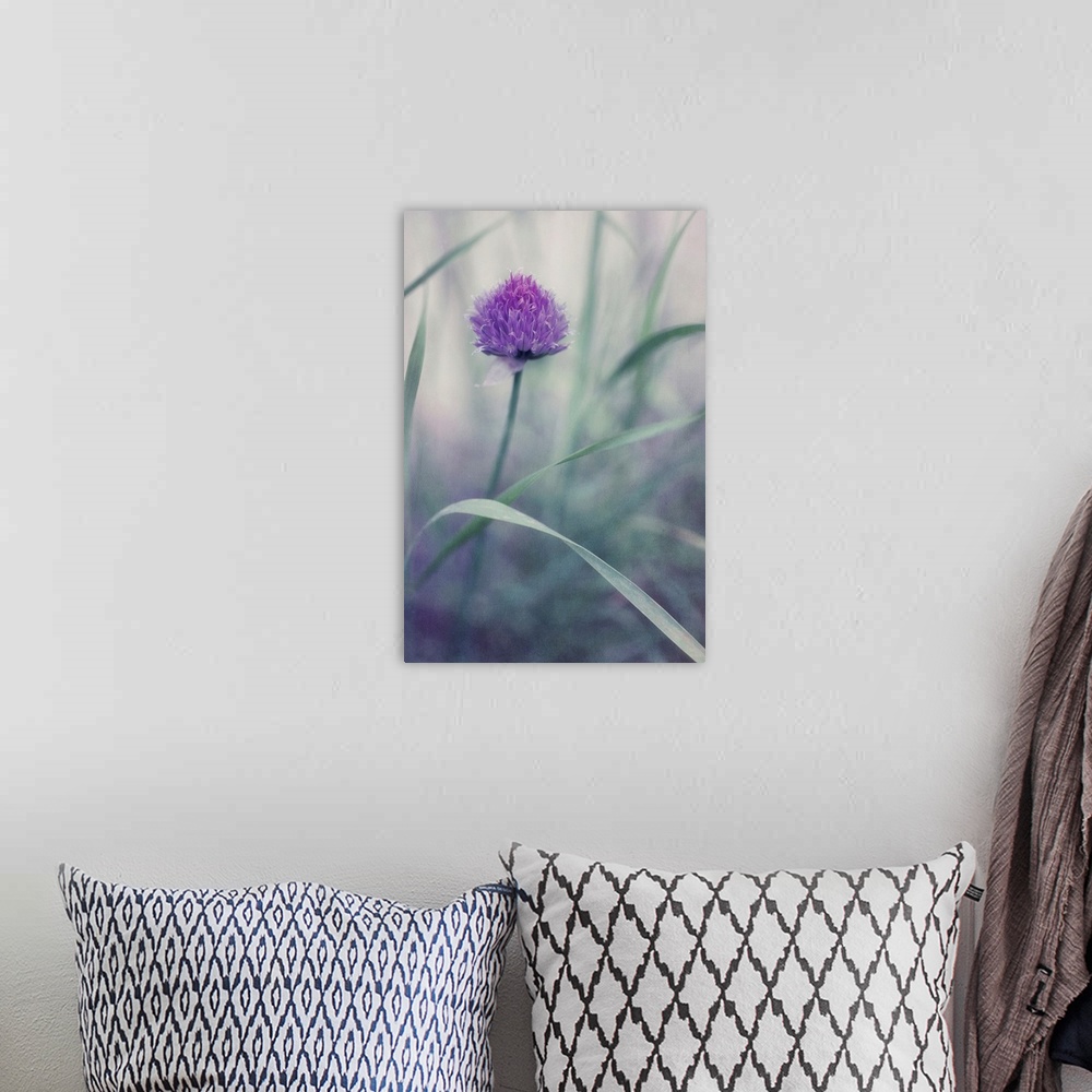 A bohemian room featuring A single chive blossom