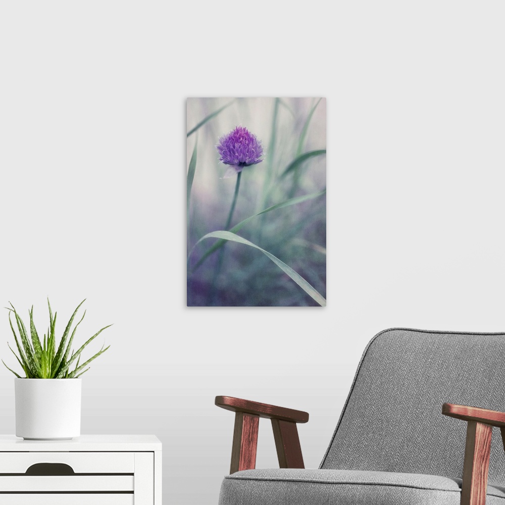 A modern room featuring A single chive blossom