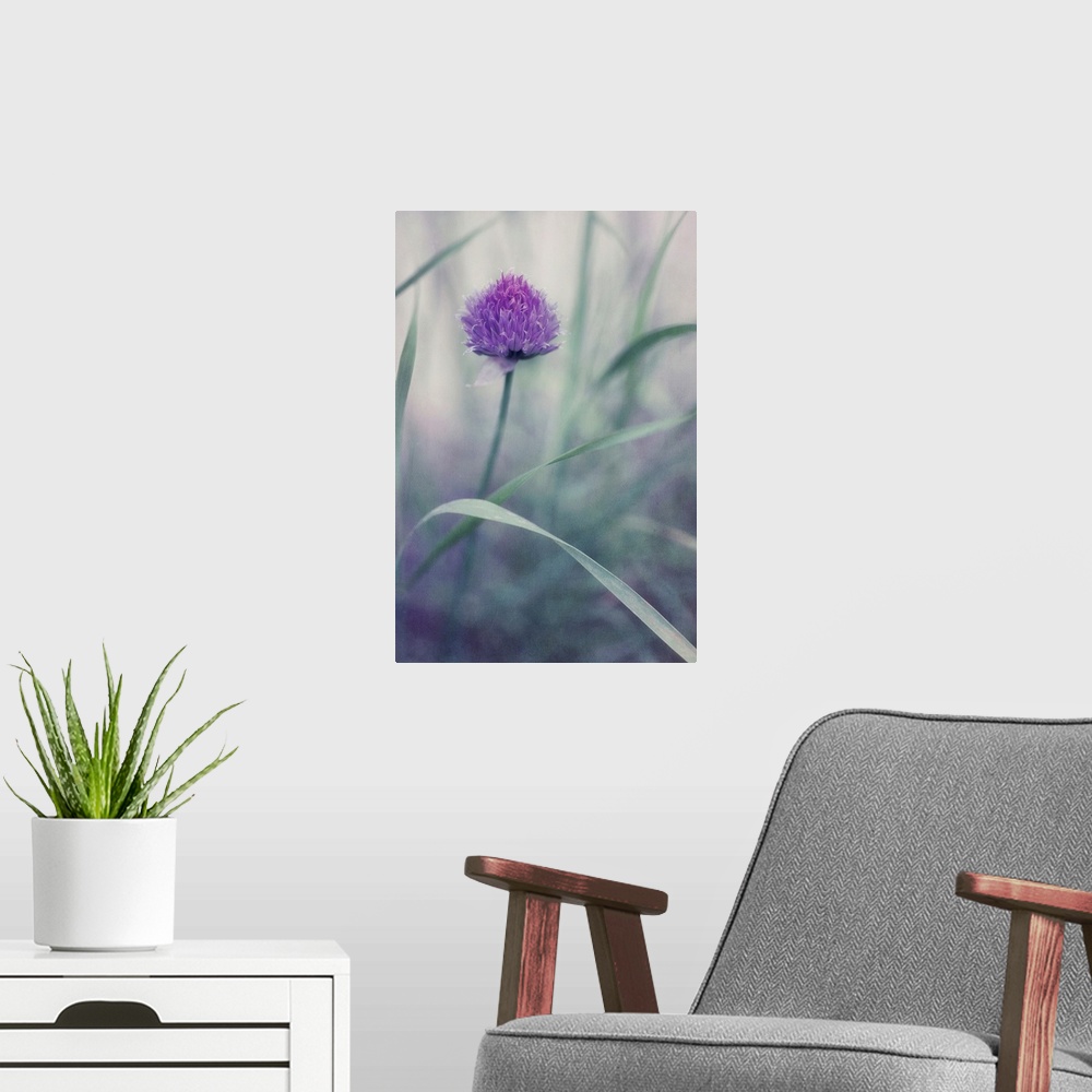 A modern room featuring A single chive blossom