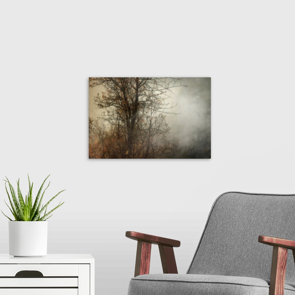 A modern room featuring Foggy Tree Without Bird
