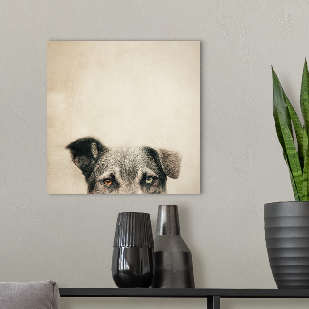 A modern room featuring An artistic photograph of a half portrait of a dog against beige background.