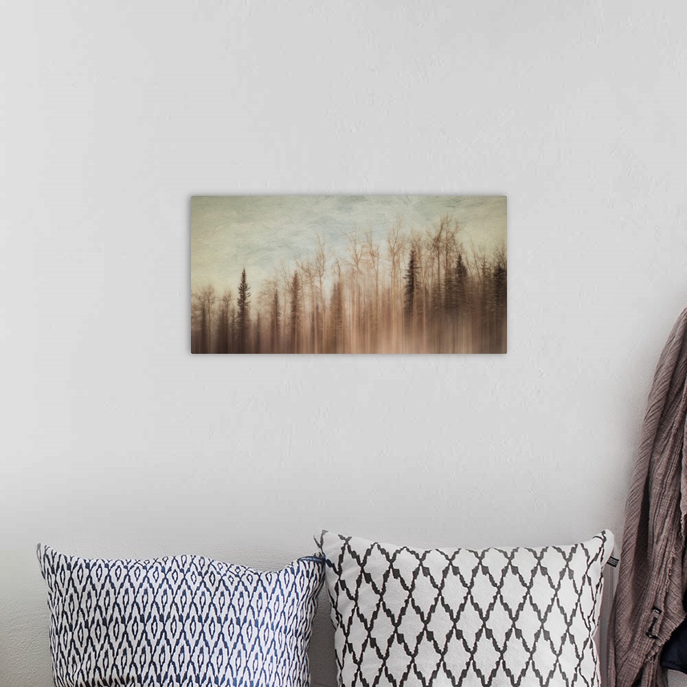 A bohemian room featuring An artistic photograph of a forest in a thick haze.