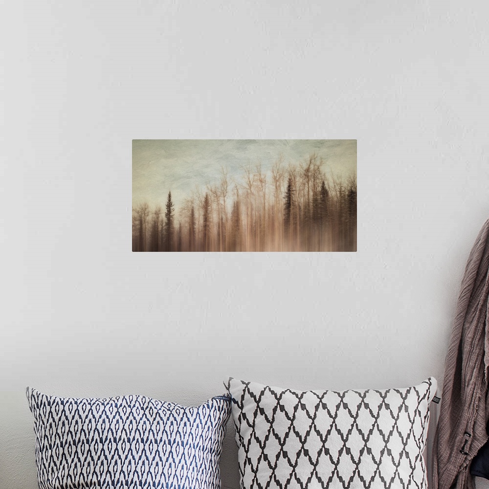 A bohemian room featuring An artistic photograph of a forest in a thick haze.