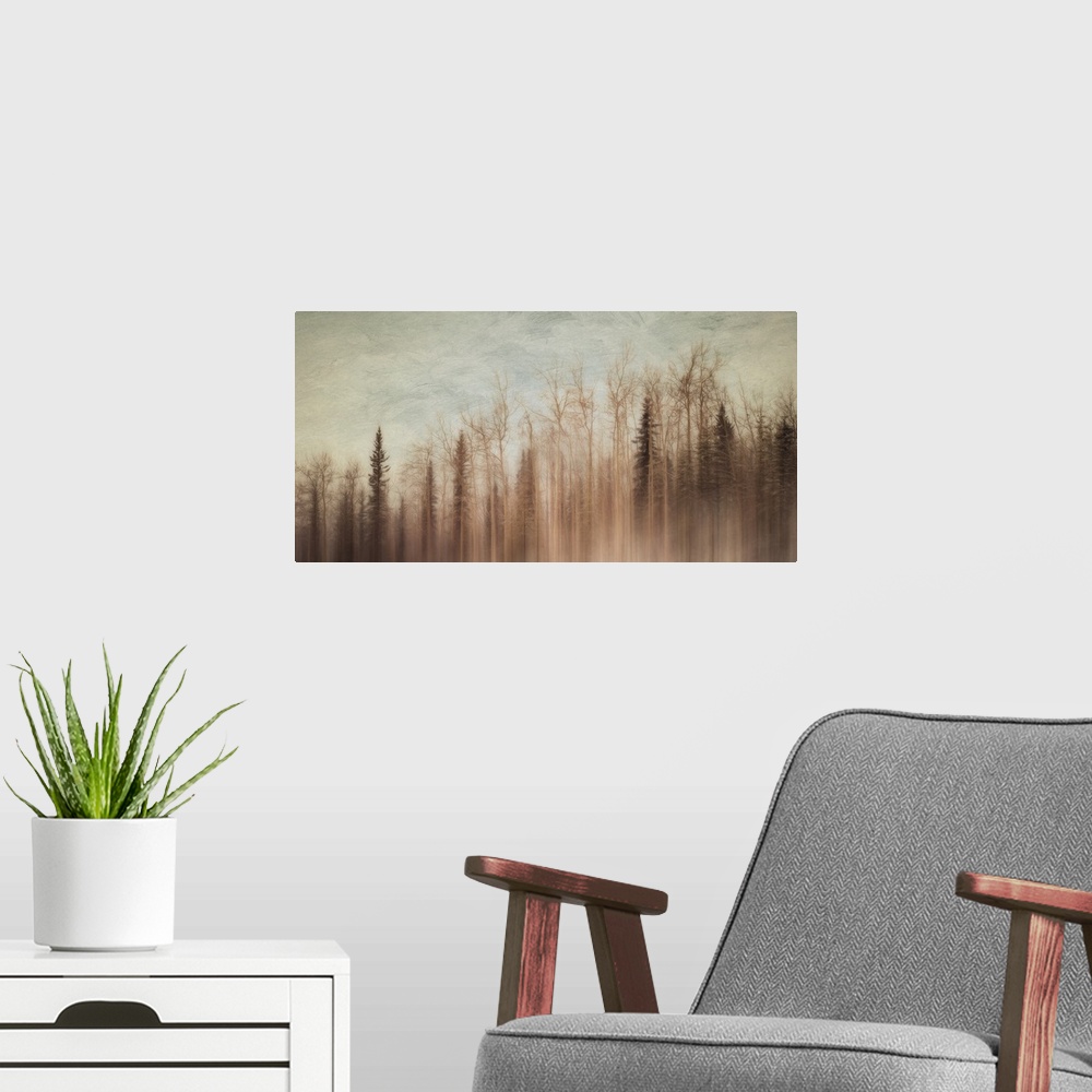 A modern room featuring An artistic photograph of a forest in a thick haze.
