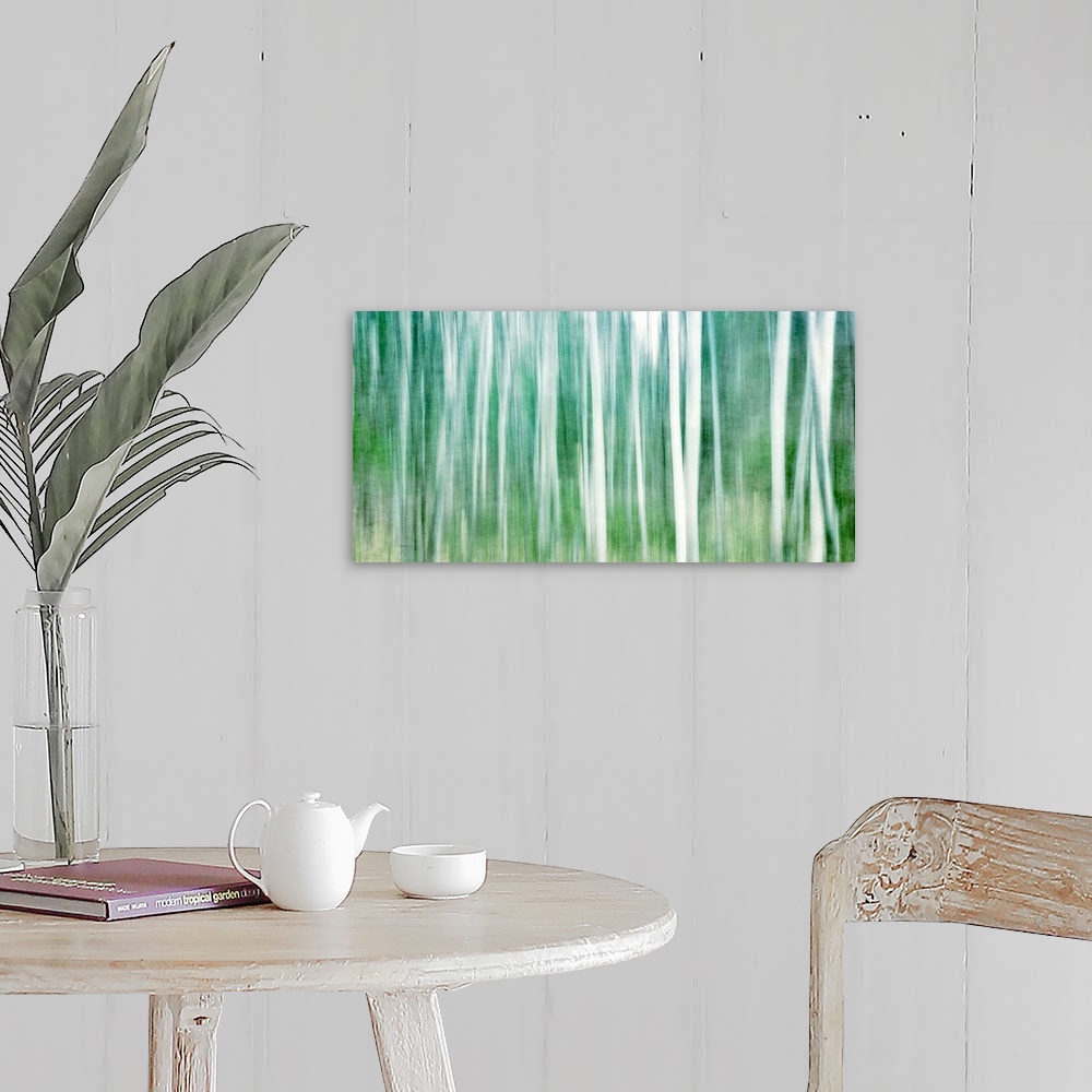 A farmhouse room featuring Birch grove is represented in an impressionistic way in this painting.