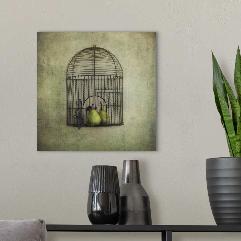 A modern room featuring An artistic photograph of a birdcage with an open door with pears siting inside it.