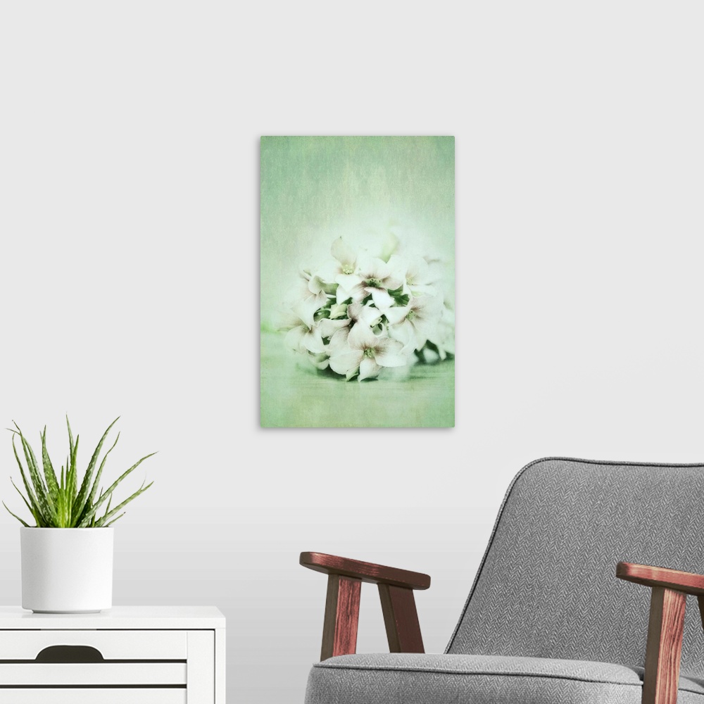 A modern room featuring Kalanchoe blossoms in mint green