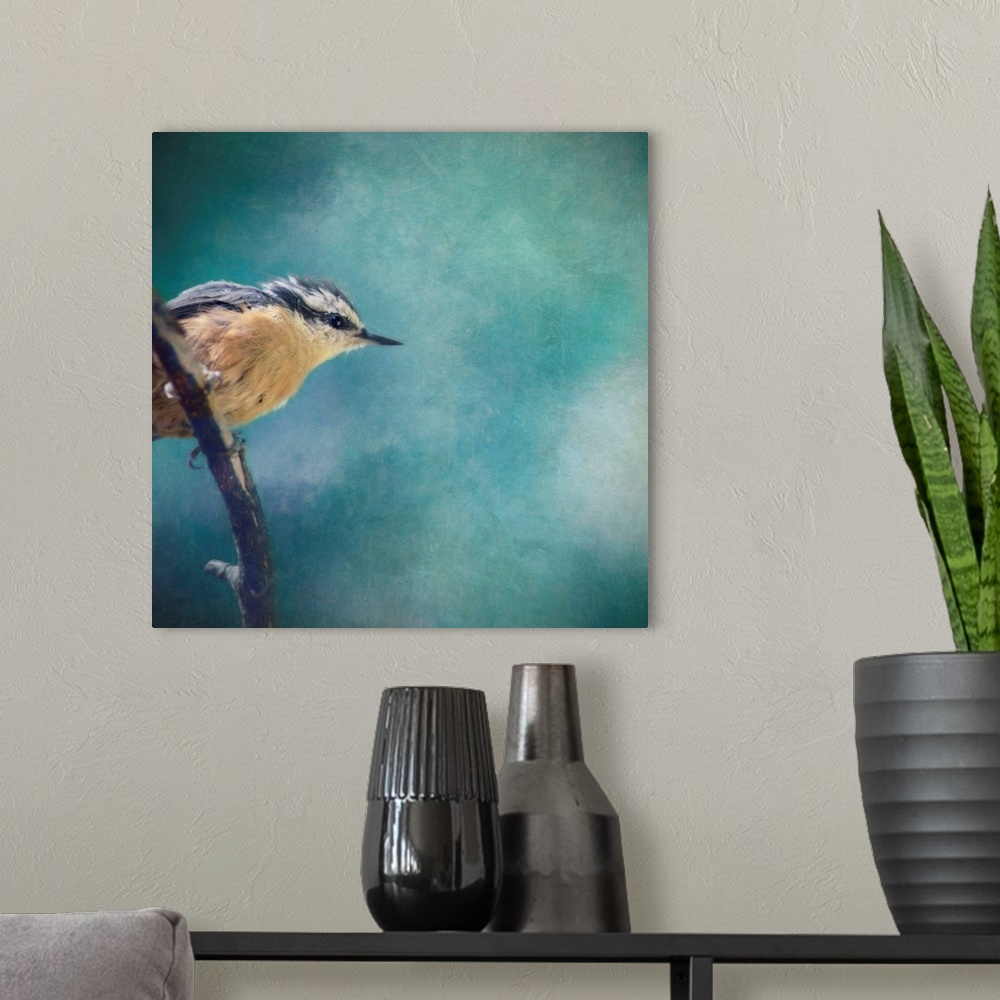 A modern room featuring Nuthatch