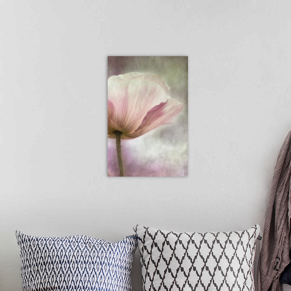 A bohemian room featuring An artistic macro photograph of a pink pastel poppy flower.