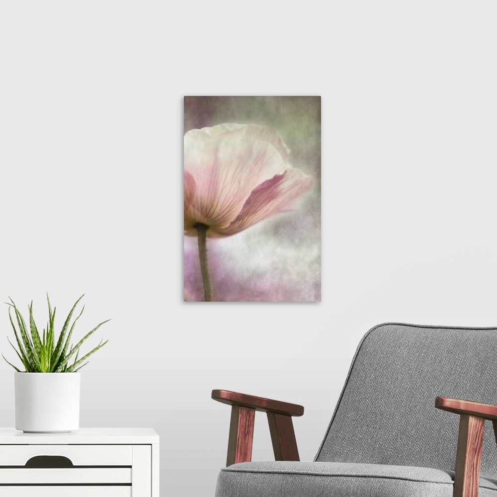 A modern room featuring An artistic macro photograph of a pink pastel poppy flower.