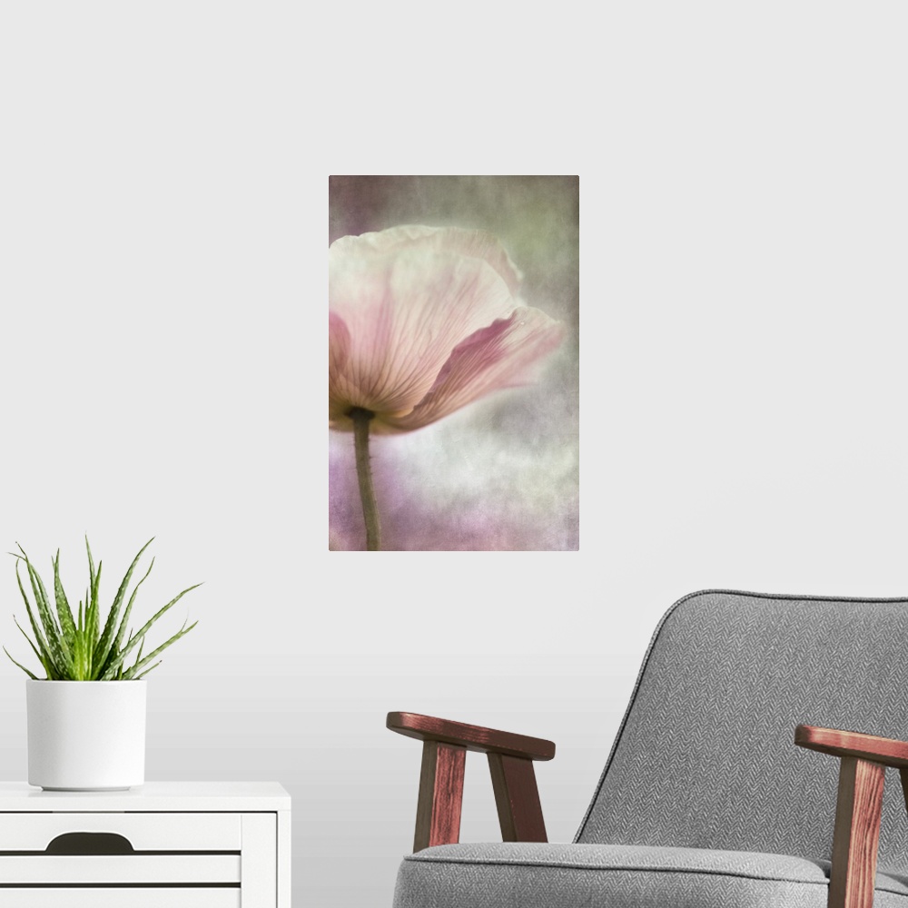 A modern room featuring An artistic macro photograph of a pink pastel poppy flower.