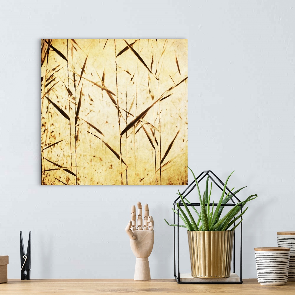 A bohemian room featuring Abstracts from nature in golden brown tones