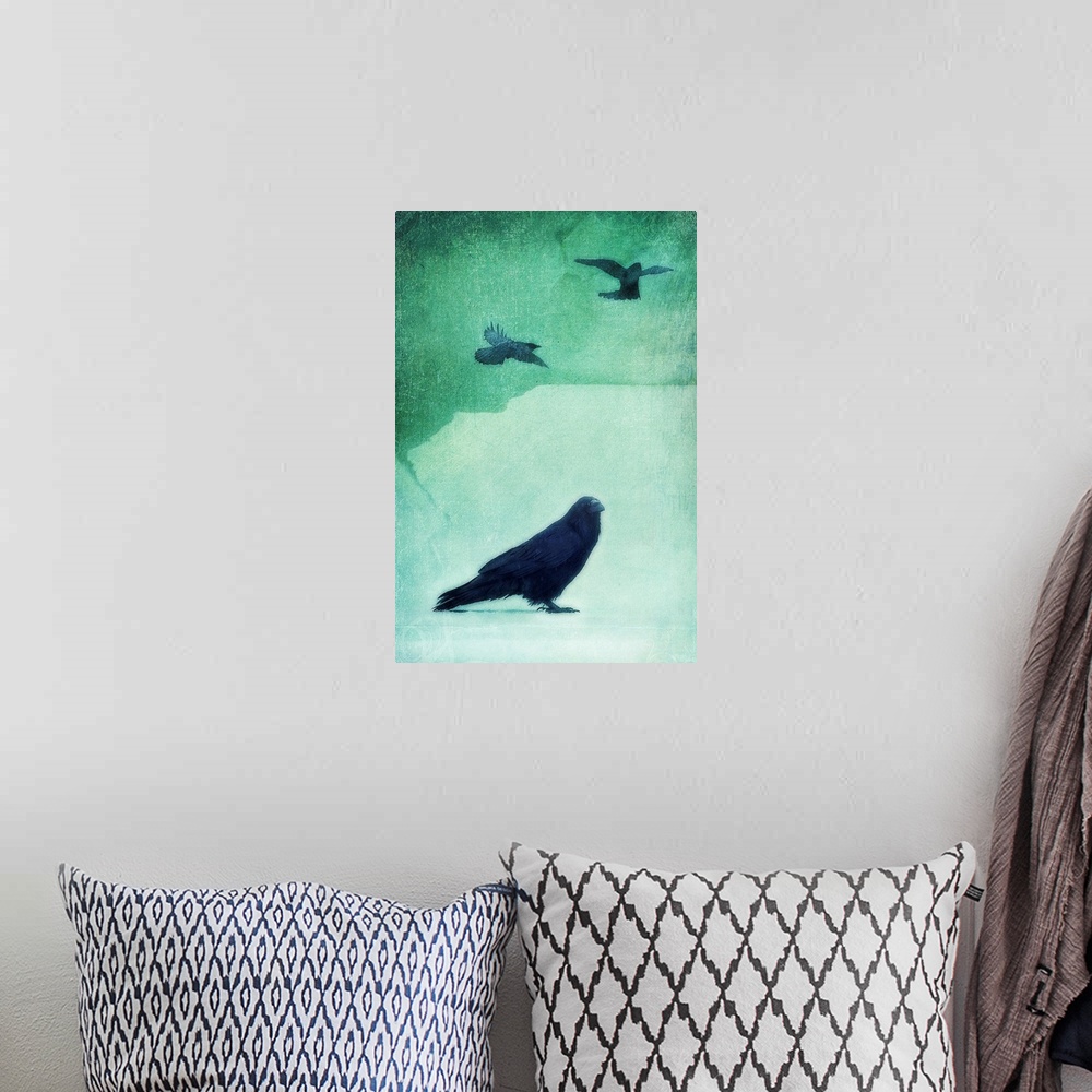 A bohemian room featuring Spirit Bird (Raven)