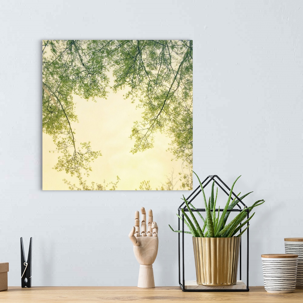A bohemian room featuring An artistic photograph looking up at tree branches against a yellow sky.