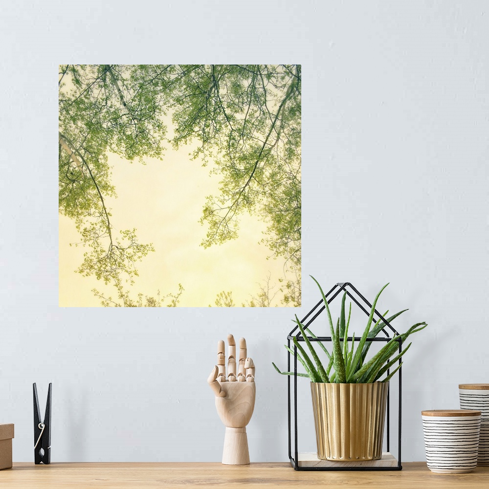 A bohemian room featuring An artistic photograph looking up at tree branches against a yellow sky.