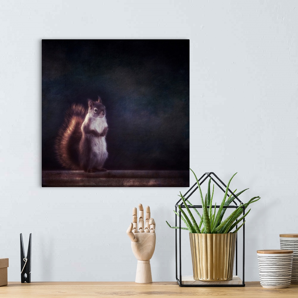 A bohemian room featuring Squirell