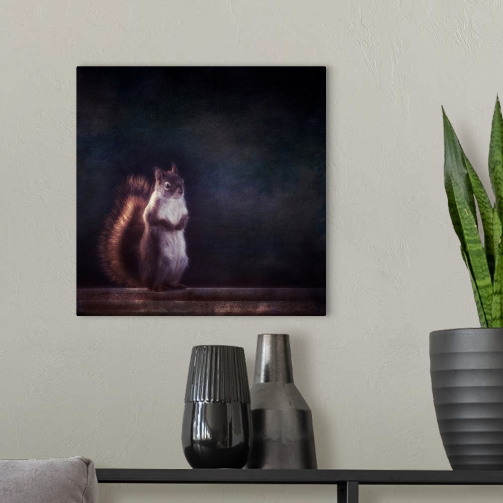 A modern room featuring Squirell