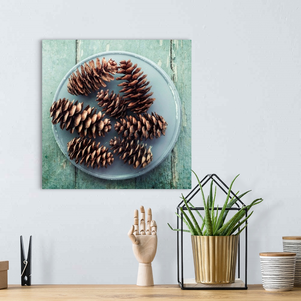 A bohemian room featuring A simple still life with pine cones