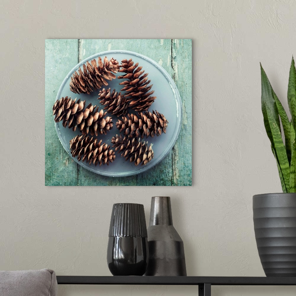 A modern room featuring A simple still life with pine cones