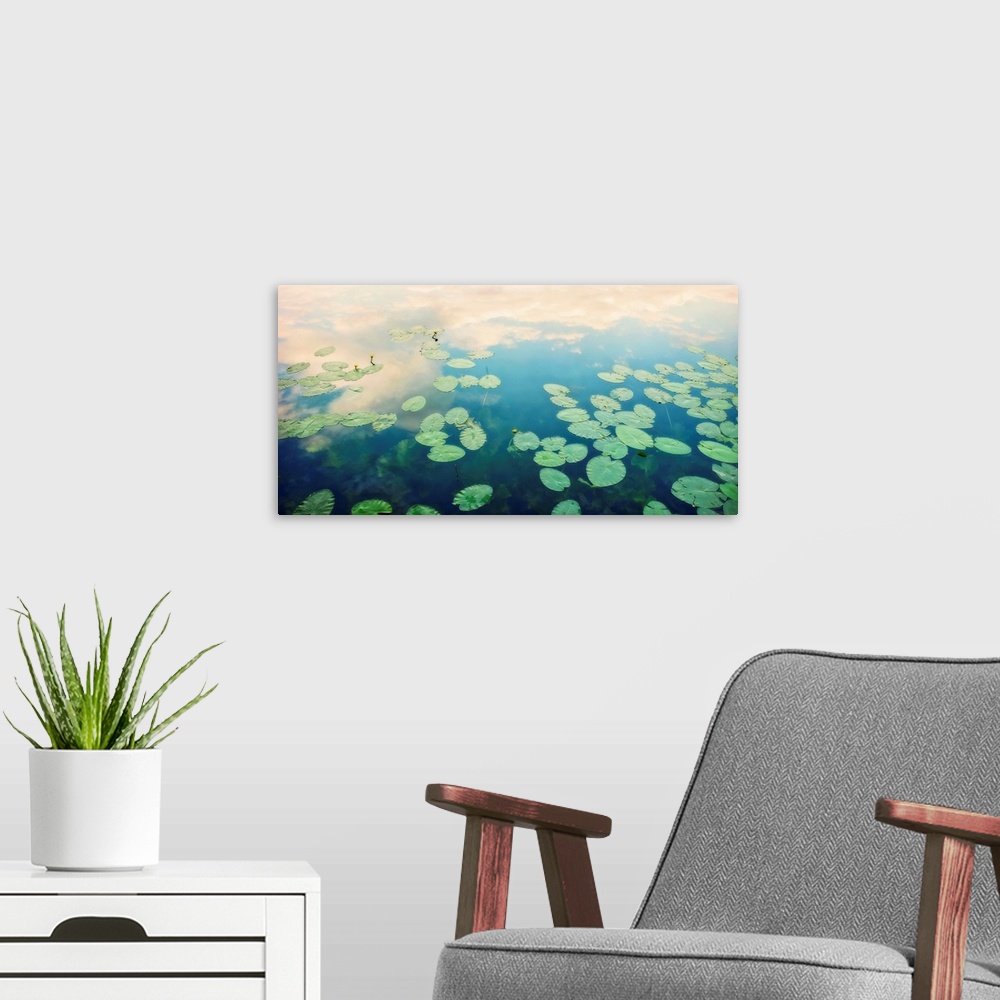 A modern room featuring Still waters run deep - water surface with water lily leaves and reflection of cloud and sky