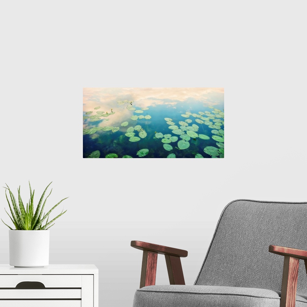 A modern room featuring Still waters run deep - water surface with water lily leaves and reflection of cloud and sky