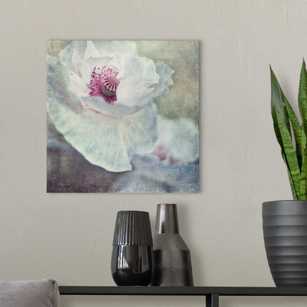 A modern room featuring An artistic photograph of white and pink flower close-up.