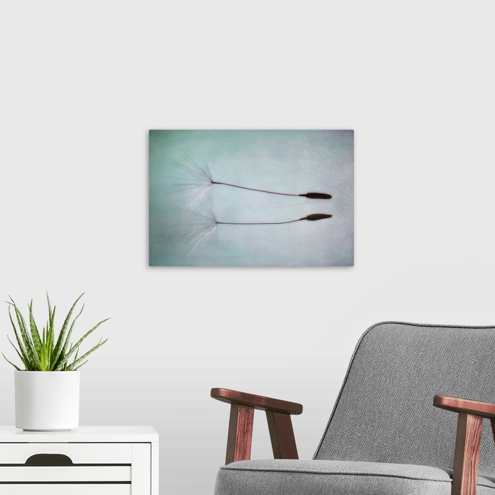 A modern room featuring Dandelion Seed on a mirror