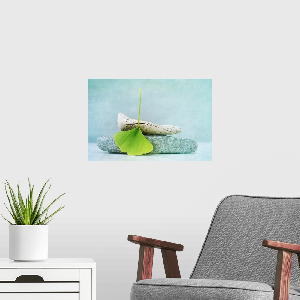 A modern room featuring Calming still life photograph perfect for a restful room in front of an out of focus neutral back...