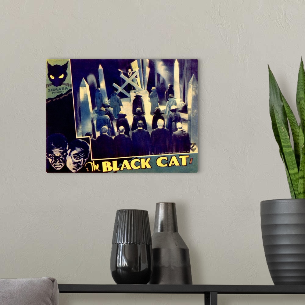 A modern room featuring Black Cat 2