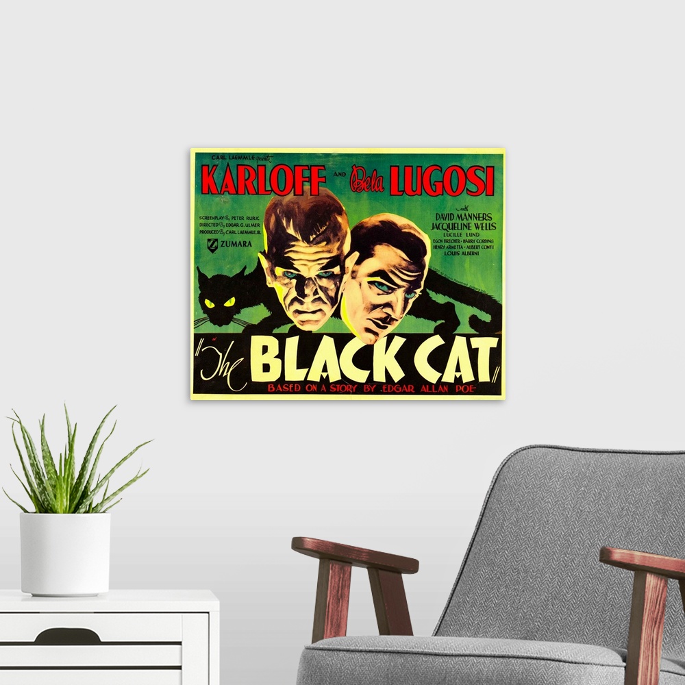 A modern room featuring Black Cat 5