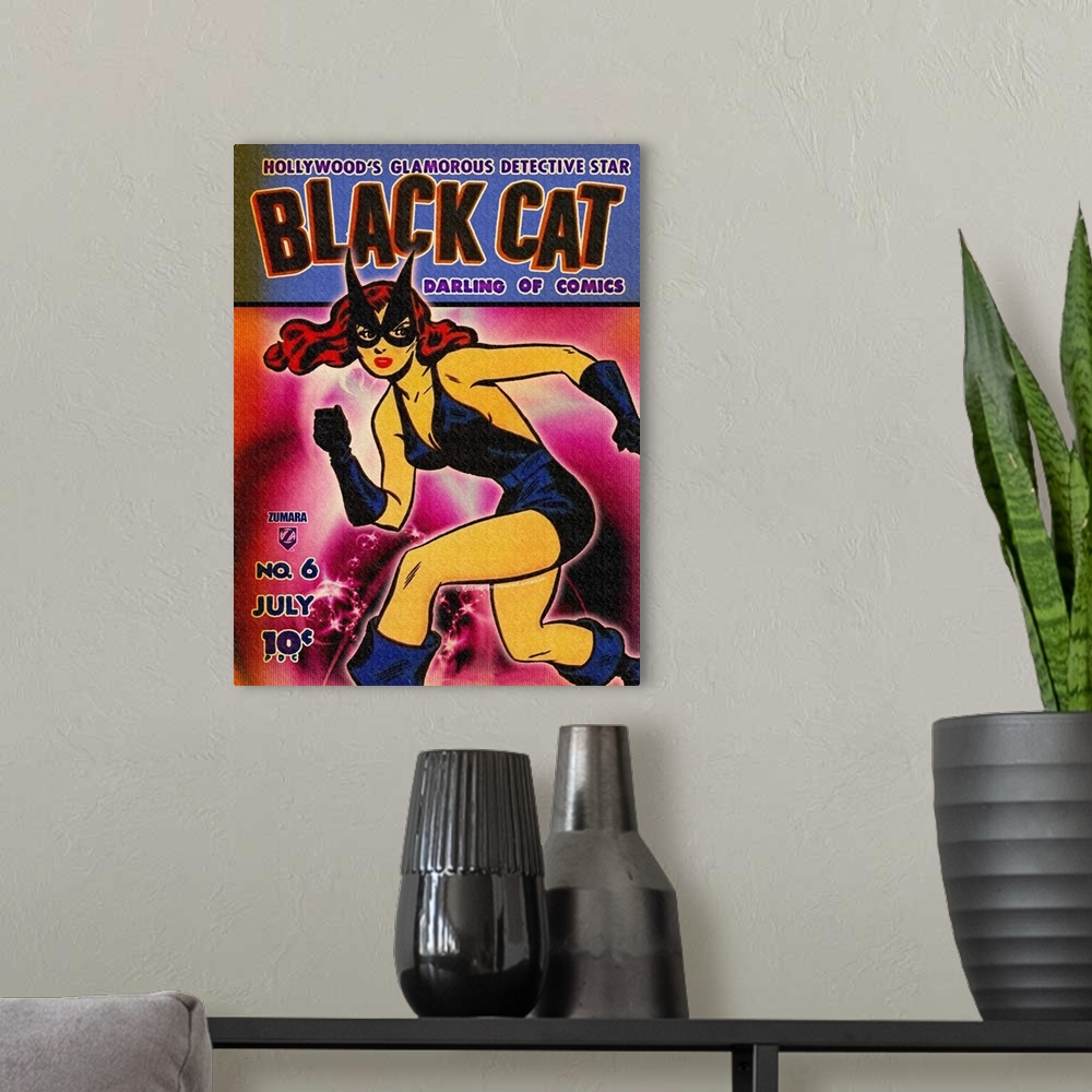 A modern room featuring Black Cat 6