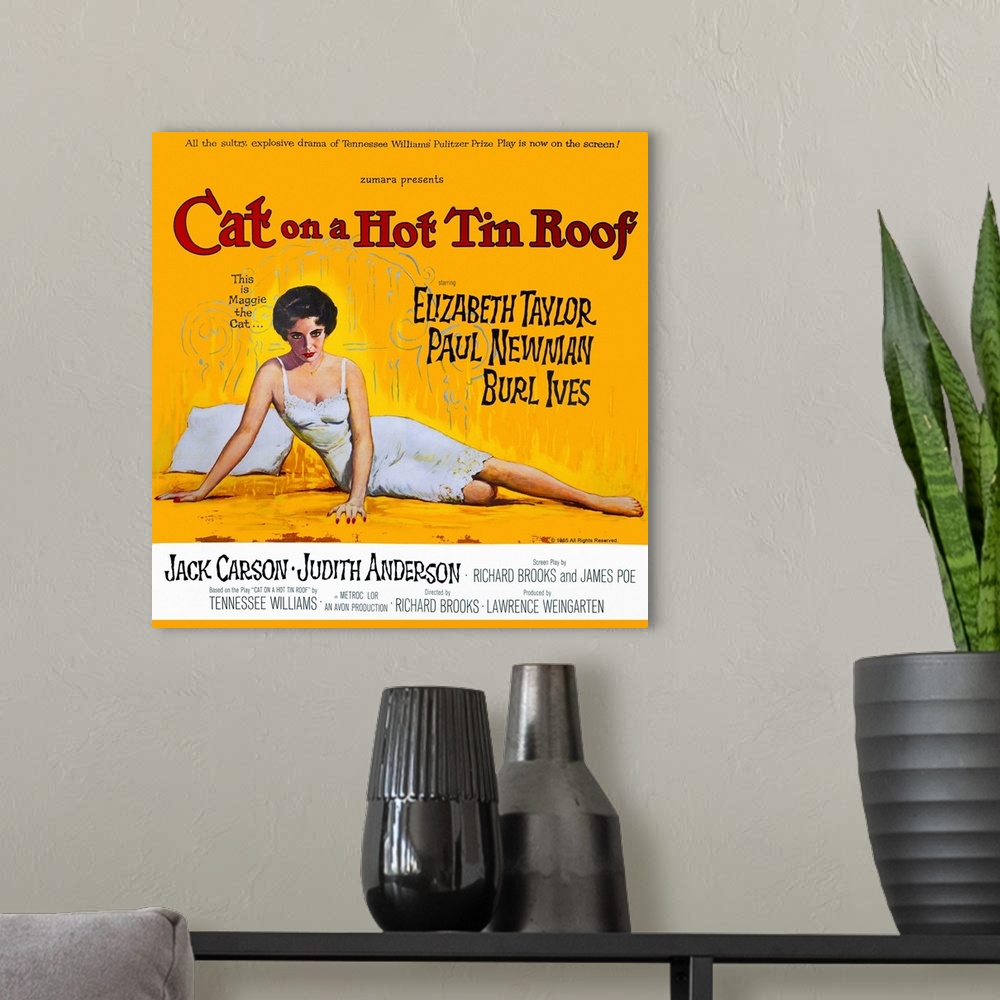 A modern room featuring Cat On A Hot Tin Roof