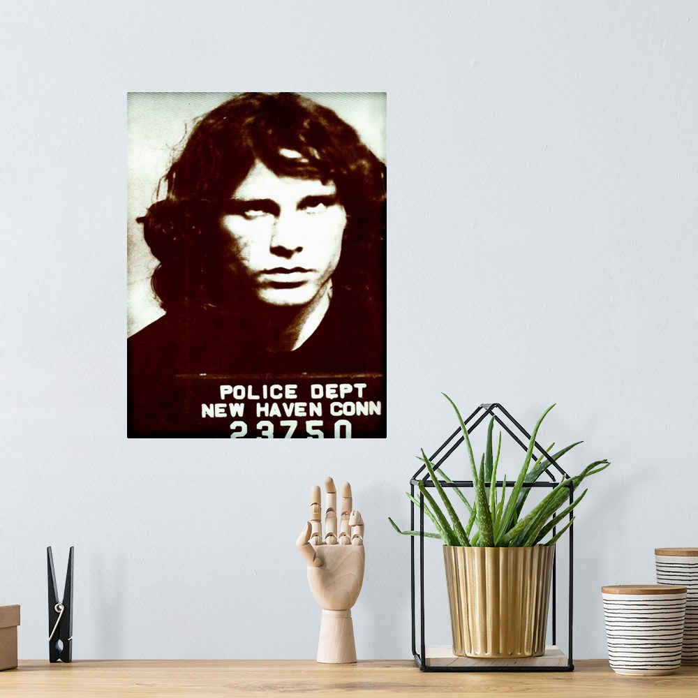 A bohemian room featuring Jim Morrison Mug Shot2