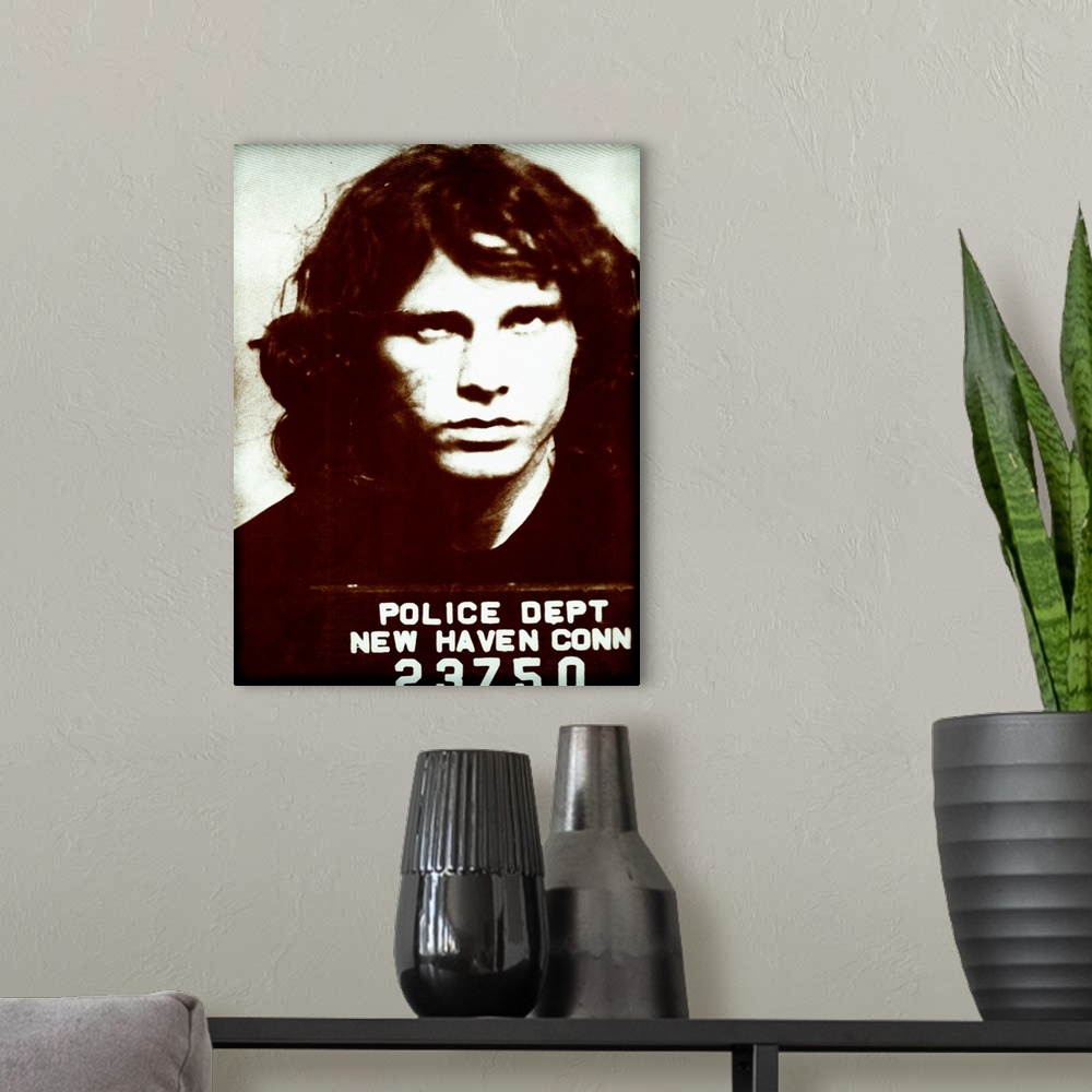 A modern room featuring Jim Morrison Mug Shot2