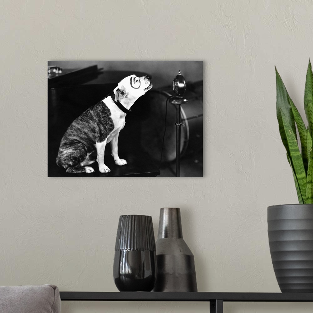 A modern room featuring Our Gang B&W Pete The Dog