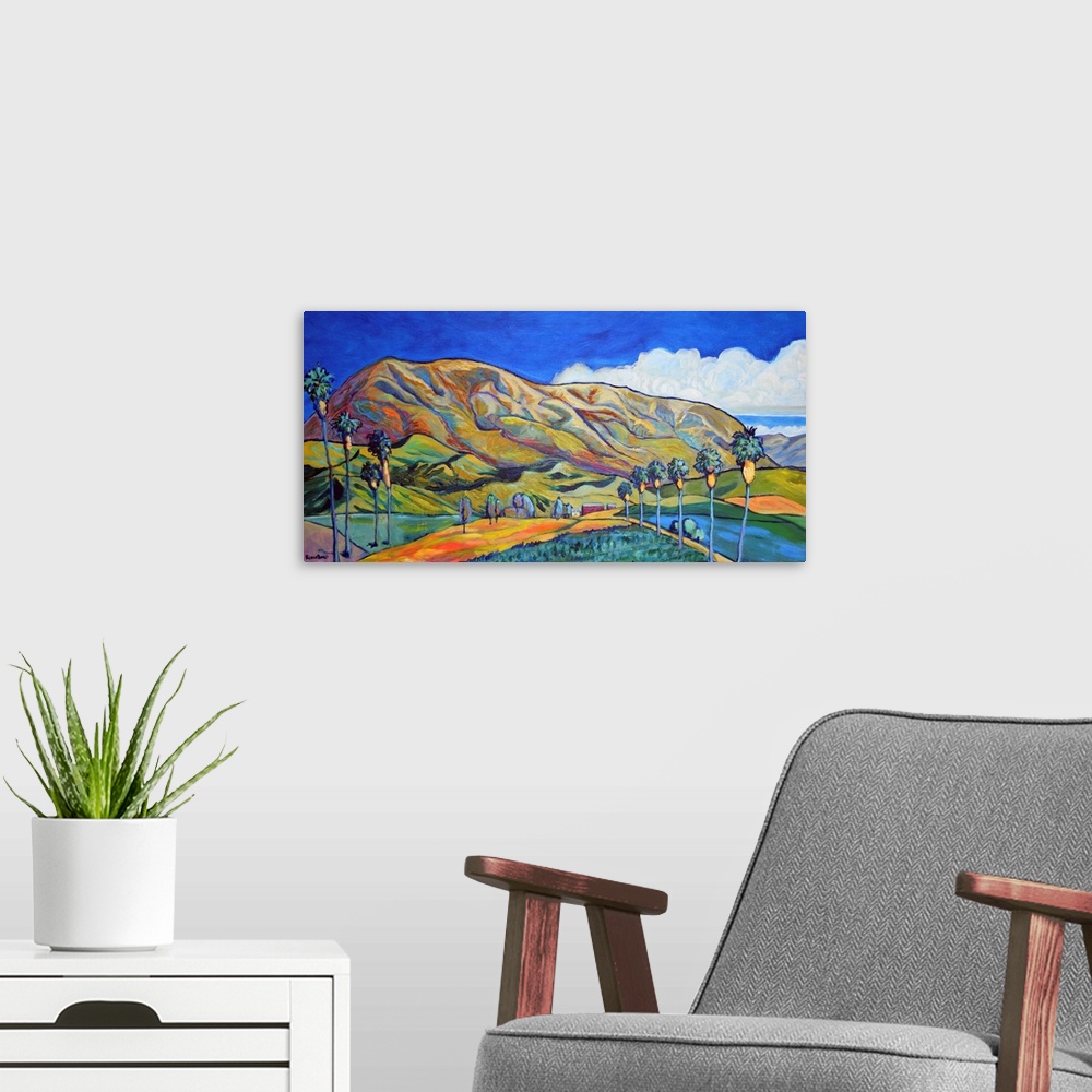 A modern room featuring Blossom Valley, a San Diego County landscape.