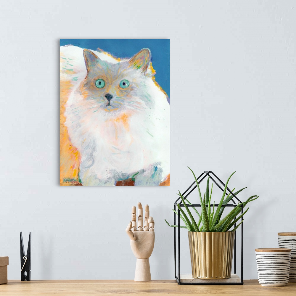 A bohemian room featuring Ragdoll Baby painting by RD Riccoboni.  Portrait of Sherman.  Known for its easygoing and mellow ...