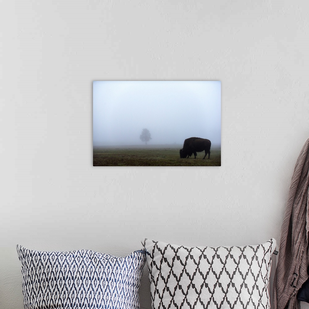 A bohemian room featuring A bison grazing in a field with a single tree in the distance.