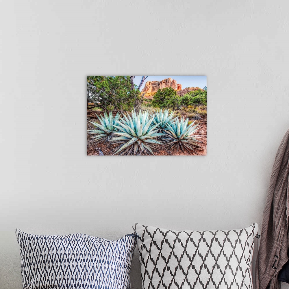 A bohemian room featuring Landscape photograph of Agave plants in Sedona, AZ with Cathedral Rock in the background.