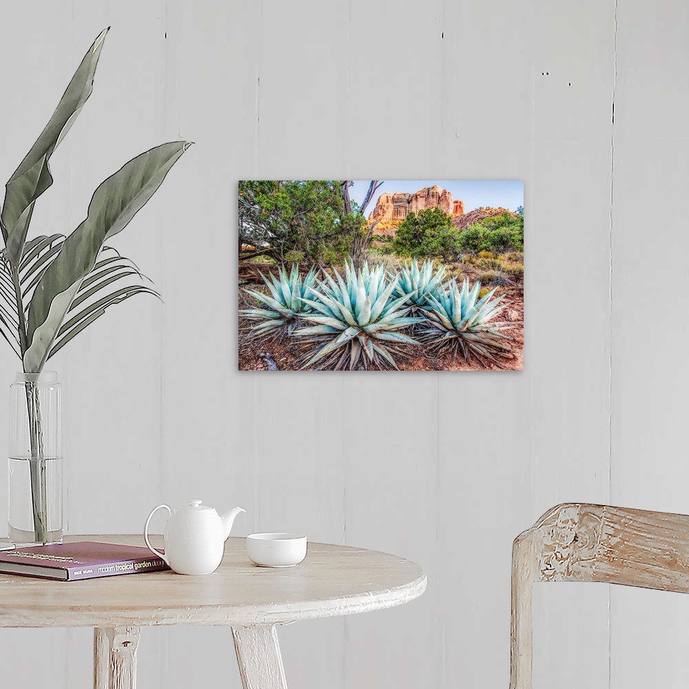 A farmhouse room featuring Landscape photograph of Agave plants in Sedona, AZ with Cathedral Rock in the background.